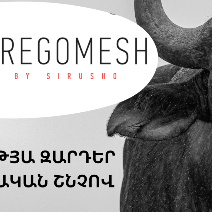 Pregomesh. ակտուալ զարդեր հայկական շնչով